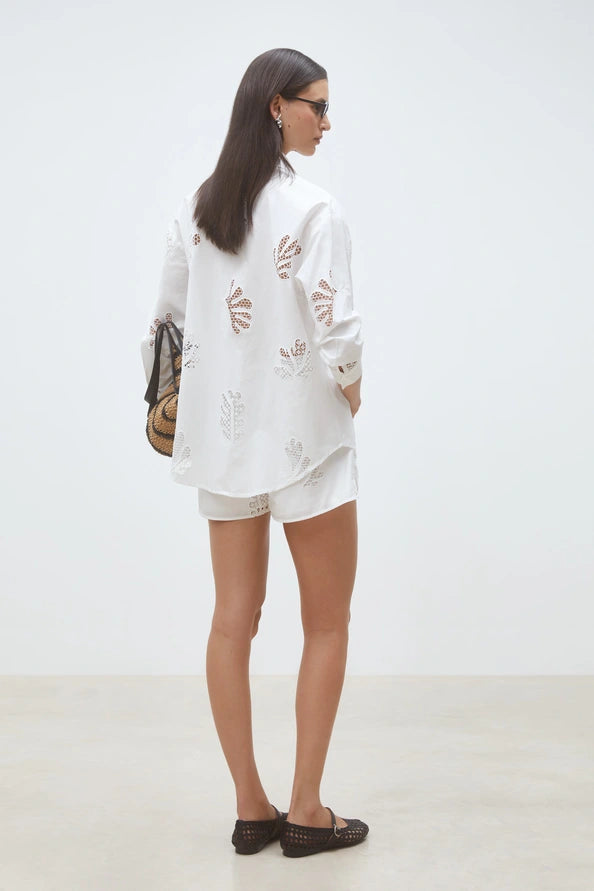 Bosco Shorts