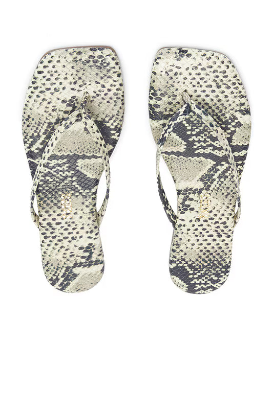 Square Toe Exotics - Sandsnake